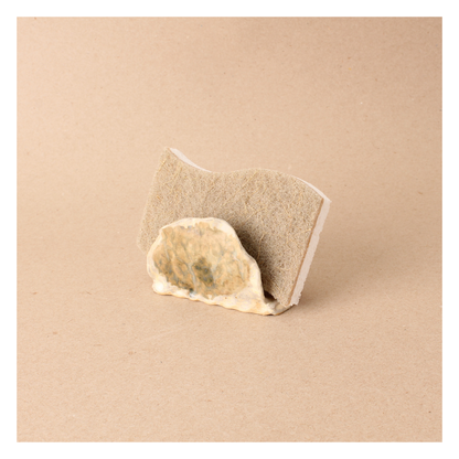 green spongeholder