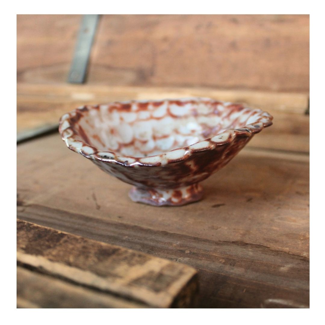 brown and white curve dish