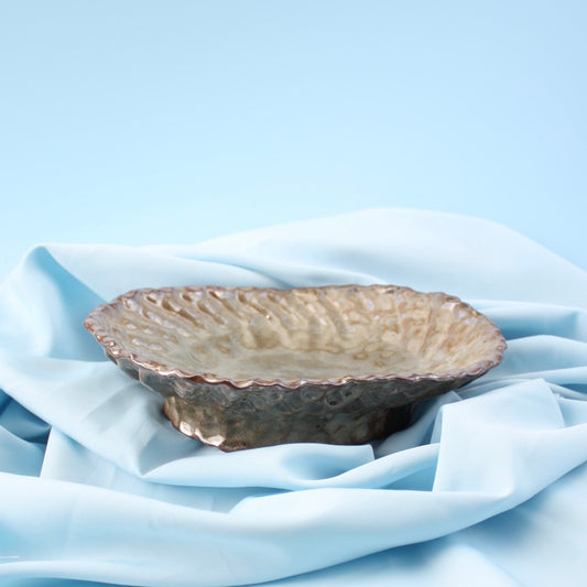 metallic platter